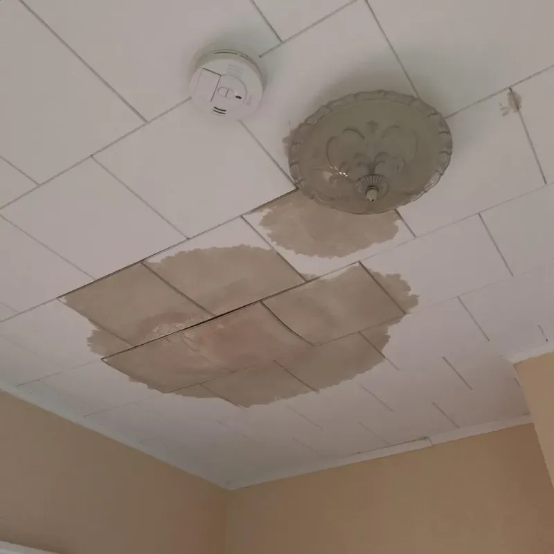 Ceiling Water Damage Repair in Gail, TX