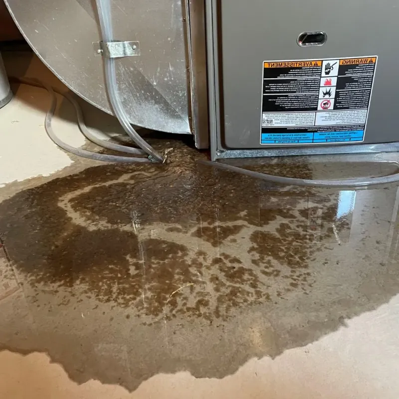 Pipe Burst and Leak Restoration in Gail, TX