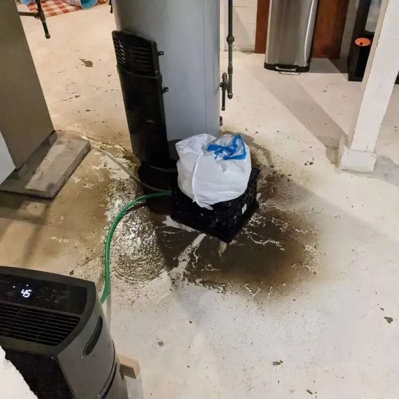 Sewage Backup Cleanup Service in Gail, TX
